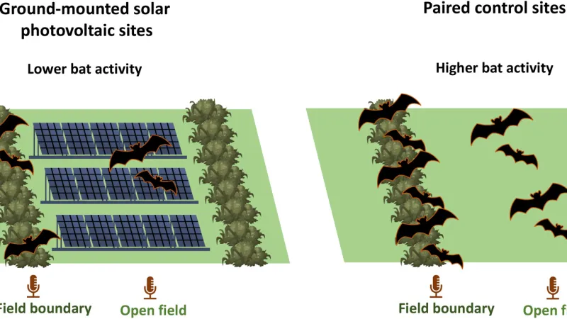Srovnání dvou typů zkoumaných ploch