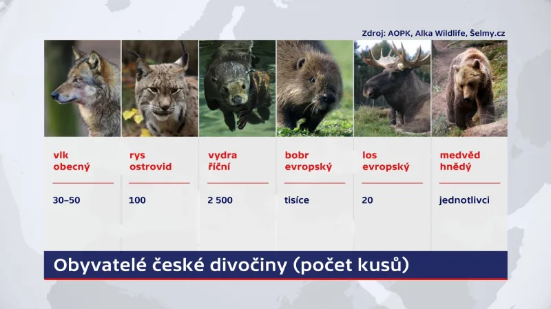 Obyvatelé české divočiny