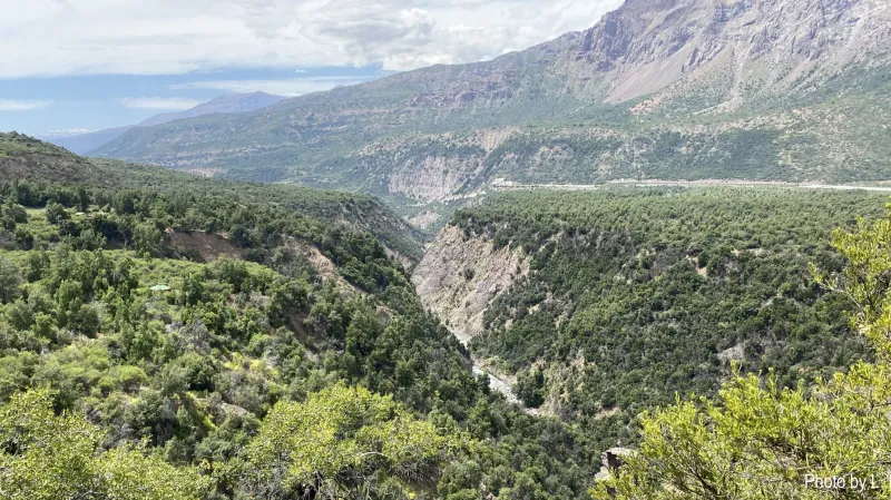 Místo objevu brouka