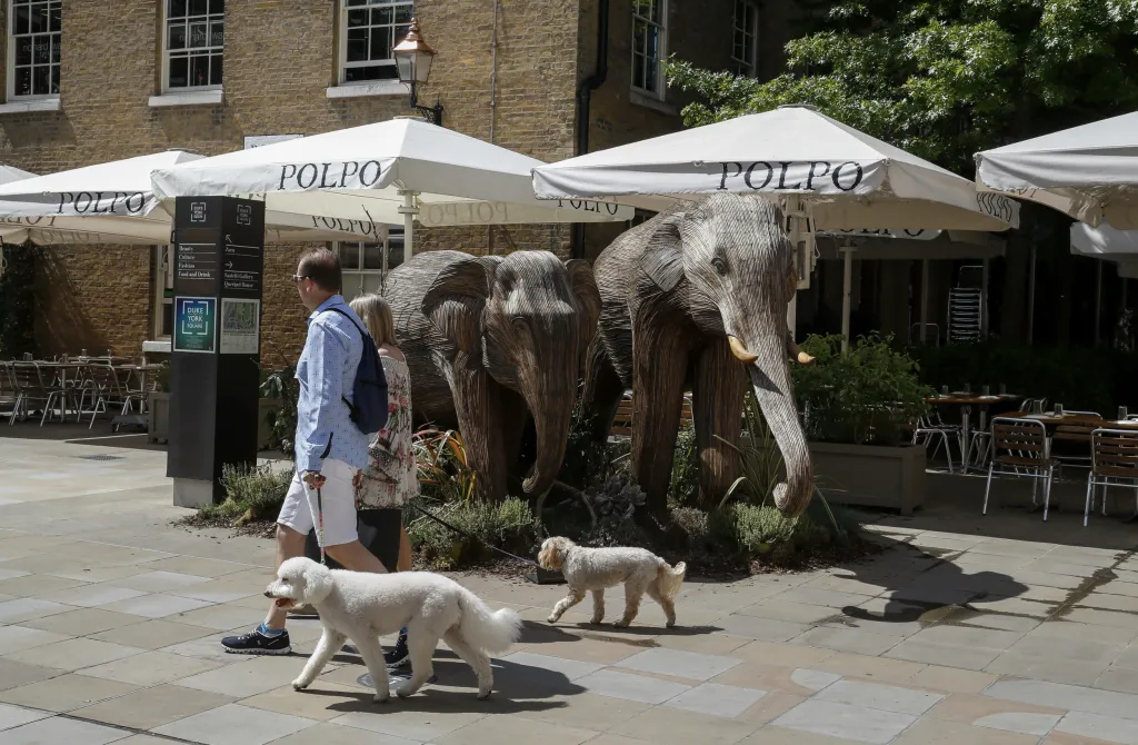 Charitativní organizace Elephant Family vystavila v Londýně sto dřevěných soch slonů v životní velikosti