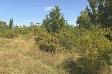 Zeleň není jen jedna. Kde a jak ji ve městě využít, poradí metodika