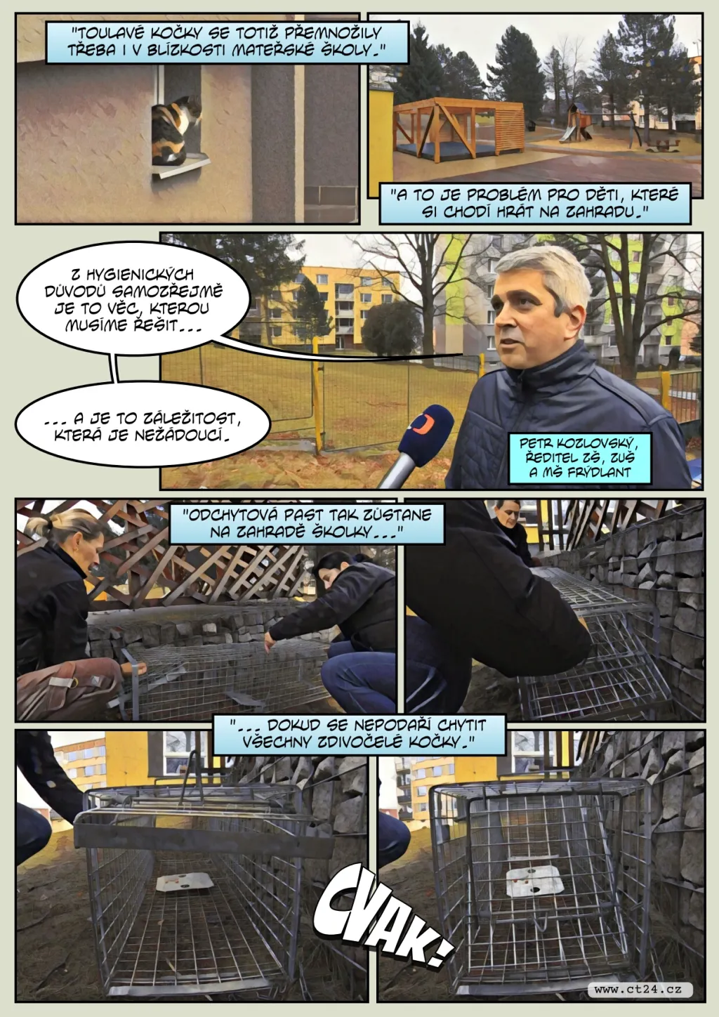 Ve Frýdlantu se přemnožily toulavé kočky