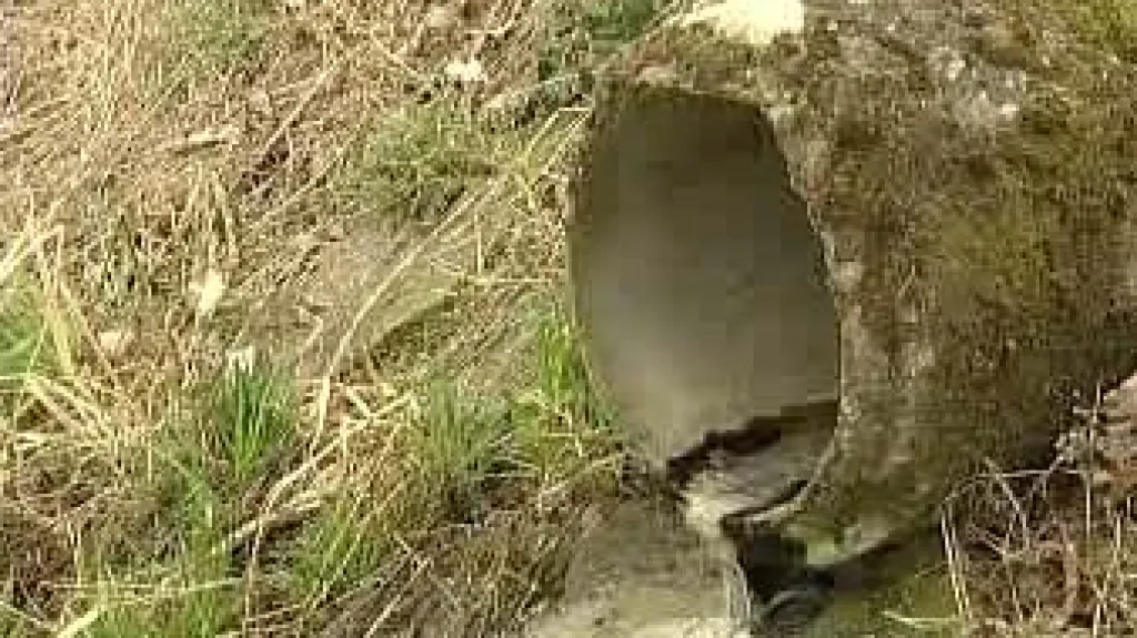 Pesticidy pronikají do vody