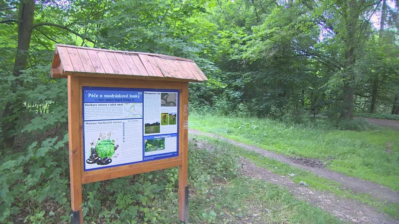 V lokalitě žije podle ekologů řada chráněných živočichů a rostlin