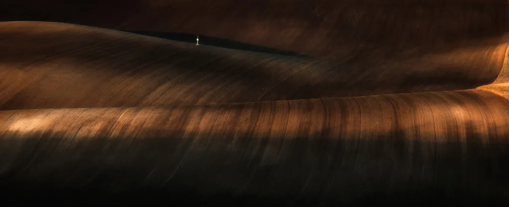 Jana Mašterová získala prvenství v kategorii České zemědělství a venkov s fotografií „Učesaná země“, která zobrazuje krajinu po zemědělských pracích.