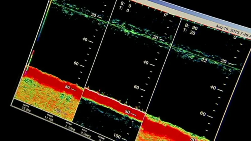 Ryby pomáhají hledat tepelné senzory