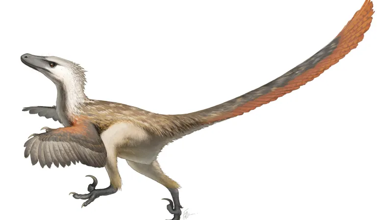 Novější rekonstrukce velociraptora