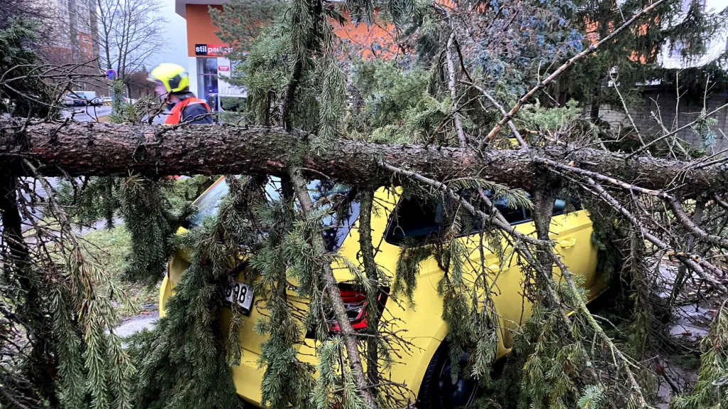 Ilustrační snímek