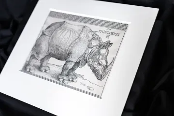 Akademie věd má první vydání Dürerova Nosorožce