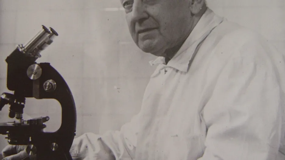 Alois Materna