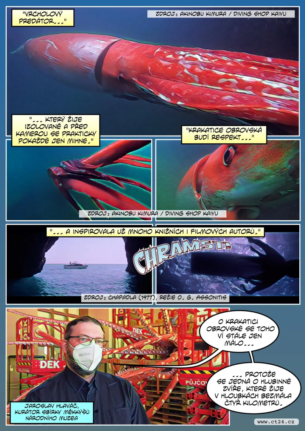 Obří krakatice v Národním muzeu