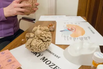 Jak se zbavit fobií nebo se adaptovat, zjistí veřejnost během Týdne mozku