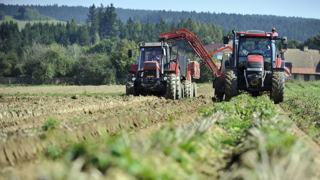 Farmáři přijdou o část plánovaných tržeb hlavně kvůli slabší úrodě