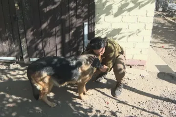 Ukrajinští dobrovolníci evakuují zvířata z míst blízko fronty
