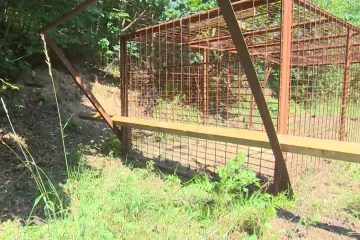 Do klece na odchyt divočáků vstupovali psi i děti. Jablonec nad Nisou nechal ulici zavřít
