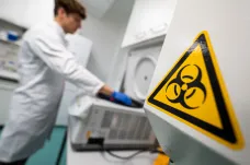Únik koronaviru z laboratoře je nepravděpodobný, říká nová zpráva