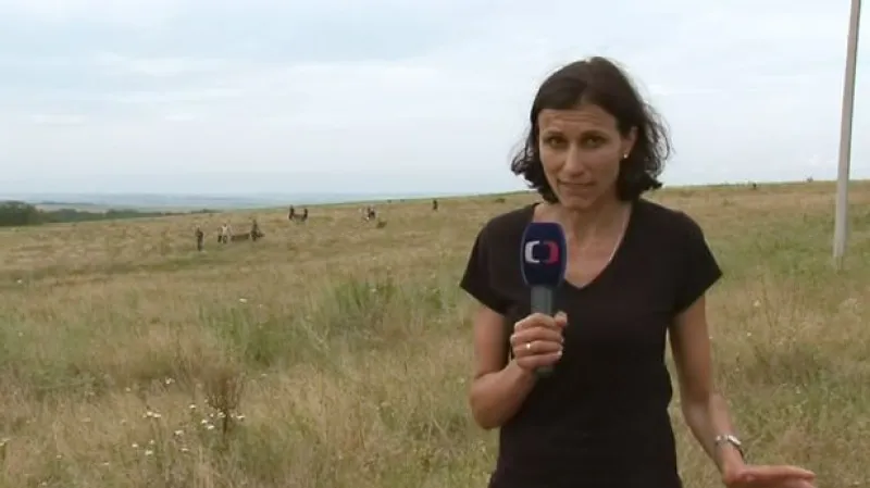 Zpravodajka ČT Adriana Dergam na místě tragédie letu MH17