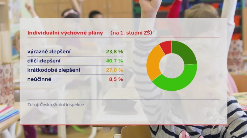 Individuální výchovný program