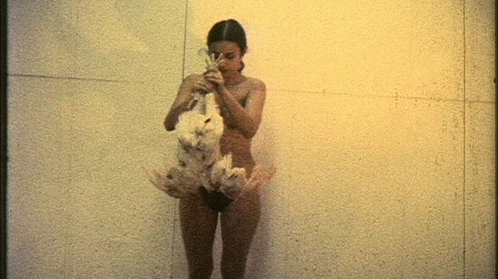 Ana Mendieta / Dílo s kuřetem (Film s kuřetem), 1972