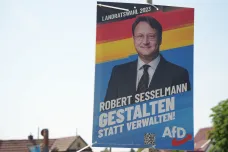 AfD rostou v Německu preference a slaví první úspěch v regionech