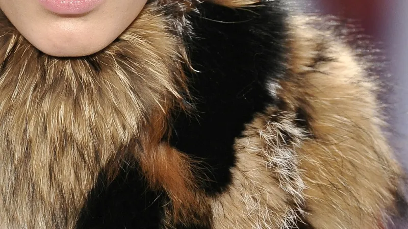 Na materiálu se letos nešetří