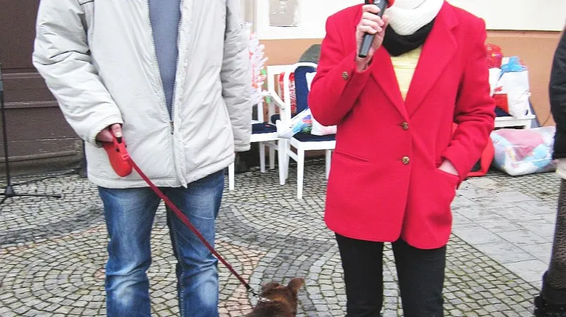 Sbírka pro opuštěná zvířata v Boskovicích