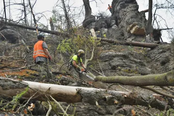 Popel, bláto, prudké svahy. Dřevorubci kácejí stromy v požárem poškozené Edmundově soutěsce