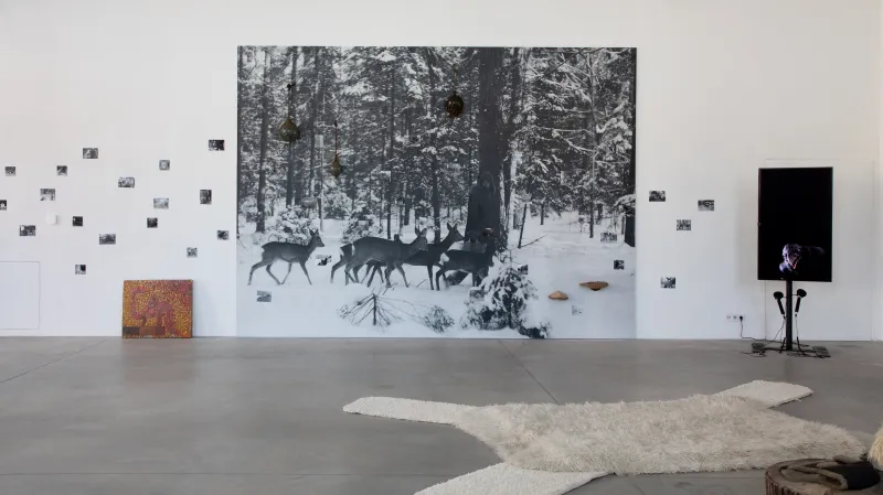 Z výstavy Uprchlá, našel skrýš, stále uniká