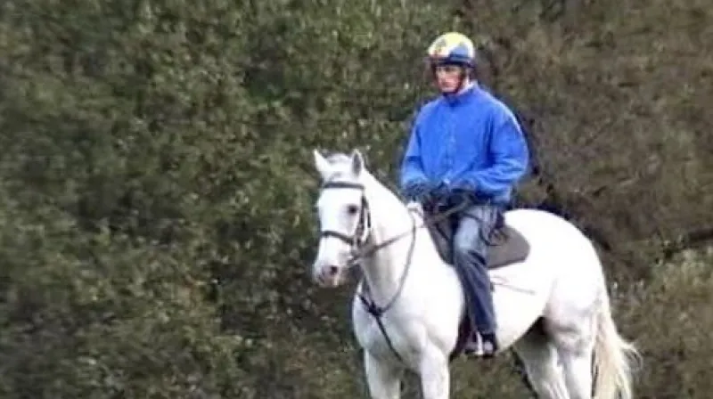 Sixteen před Velkou pardubickou