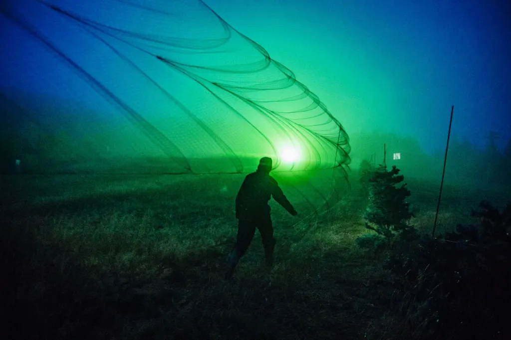 Posledním z trojice nominovaných je Petr Topič za soubor fotografií „Ptačí hlídka“