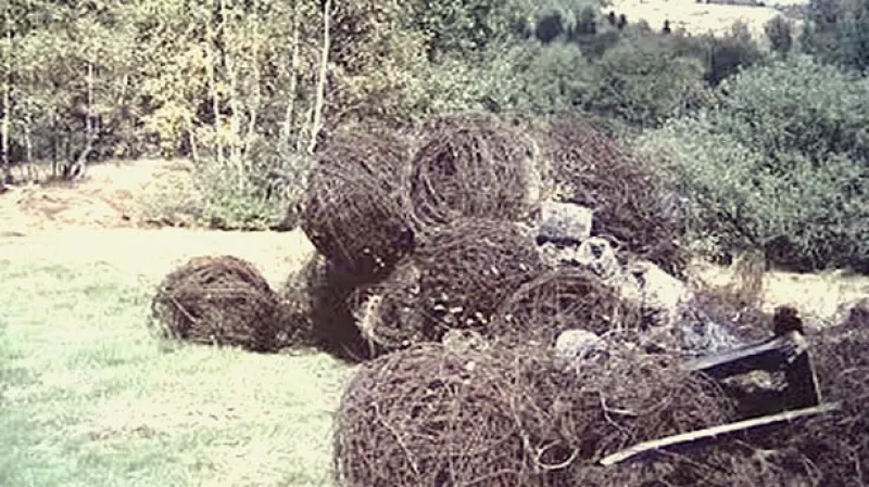 Přestříhané ostnaté dráty na československo-německé hranici