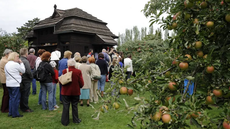 Vinobraní na Pražském hradě