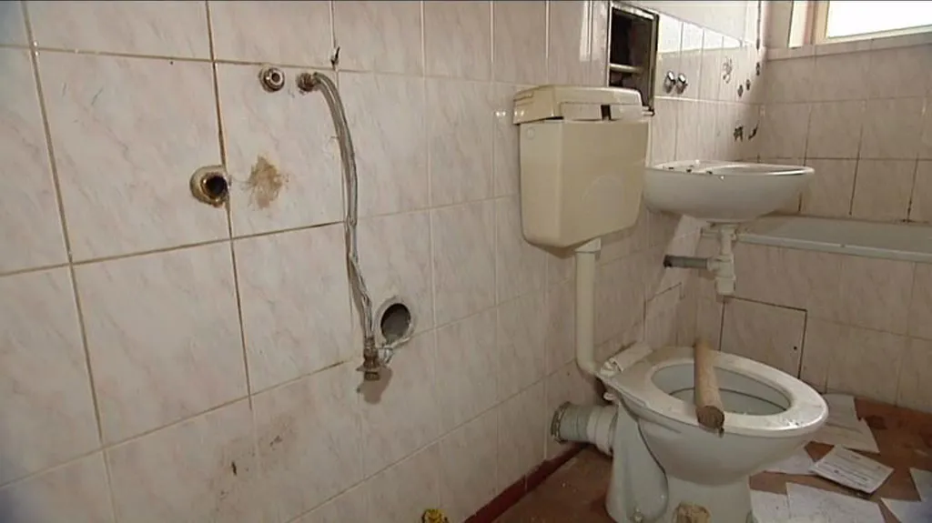 Zloději kradou i karmy