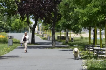 Ústavní soud vyhověl muži z Ústí nad Labem, jehož žena se zranila na rozbitém chodníku