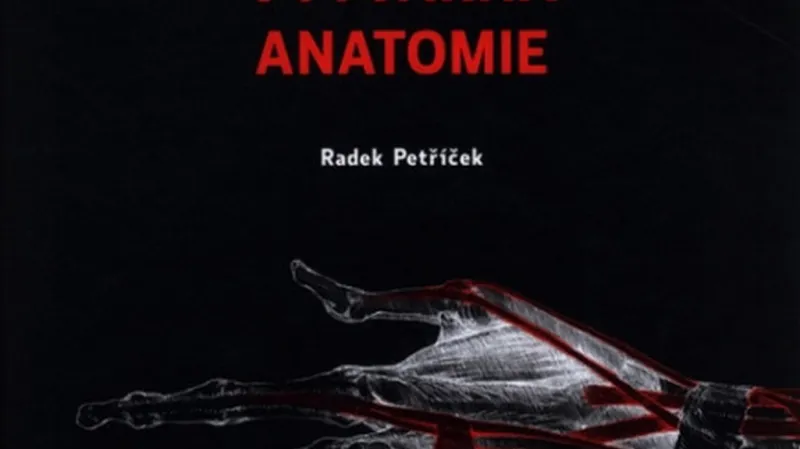 Výtvarná anatomie