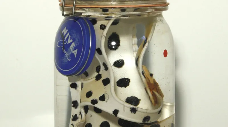 Dílo německého člena hnutí Fluxus Dietera Reicka