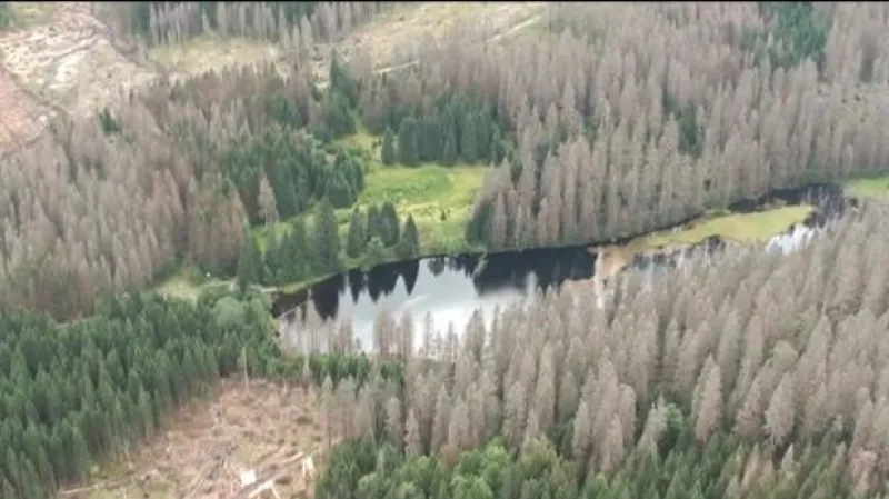 Nový šéf NP Šumava chce pokračovat v práci Stráského