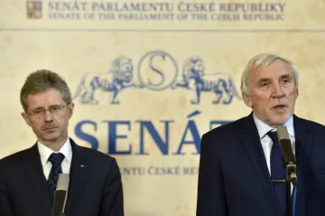 Zesnulého Kuberu by mohl v čele Senátu nahradit Vystrčil nebo Růžička