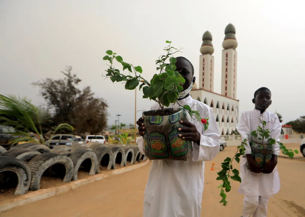 Dakarský les Mbao, který hraje významnou ekologickou roli pro senegalskou metropoli, je v ohrožení. Část politické garnitury města i země chce proměnit les na hřbitov a obytnou zónu. Odpůrci projektu jasně říkají, že takové rozhodnutí bude pro Dakar zničující, a uvádí, že kvalita ovzduší by se tím razantně zhoršila