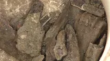 Archeologové našli desítky drobných předmětů