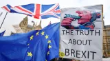 Protest odpůrců brexitu