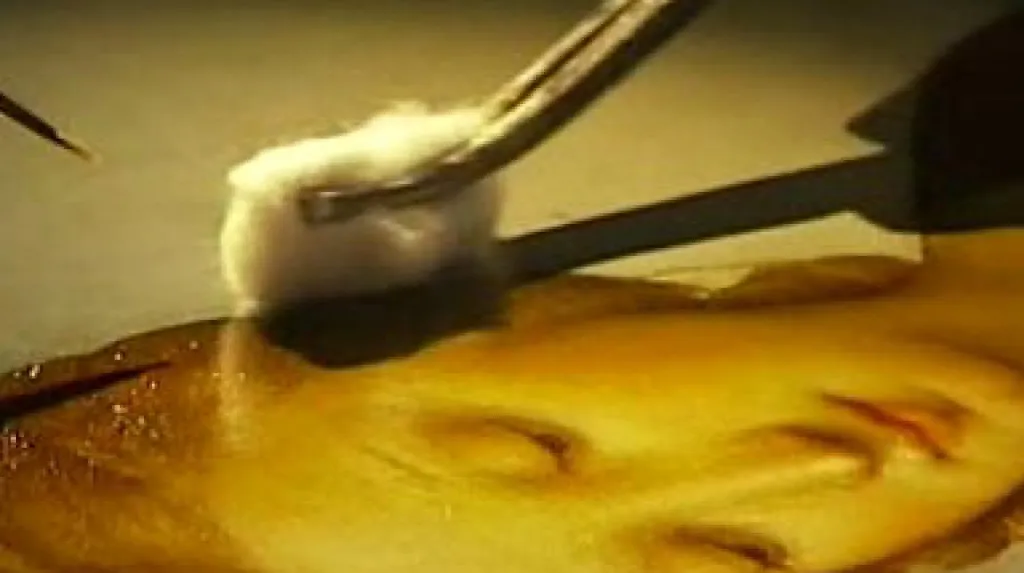 Restaurování Madony v lukách