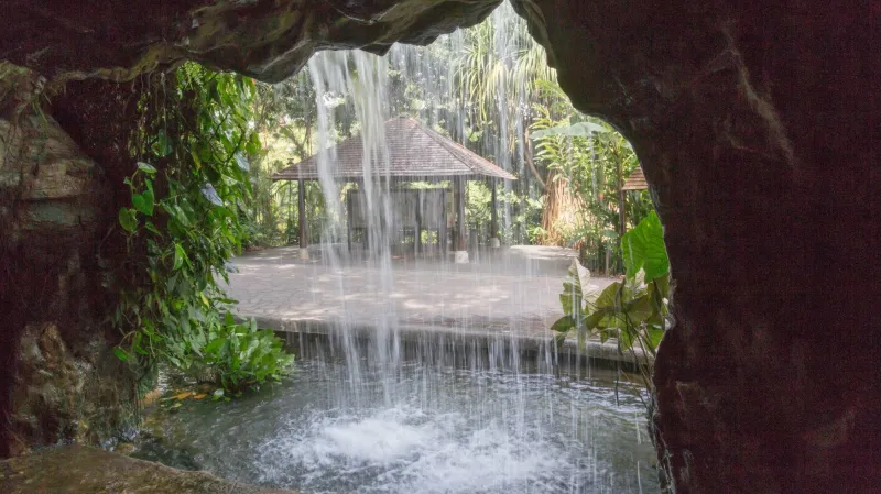 Singapurská botanická zahrada