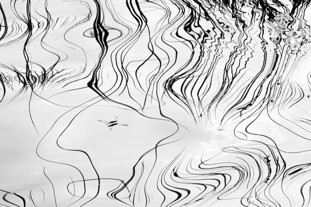 3. místo v kategorii Hmyz