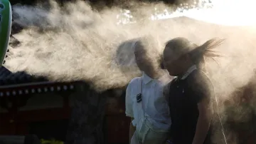 Vlna veder v Japonsku