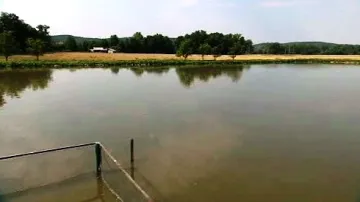 Chovný rybník