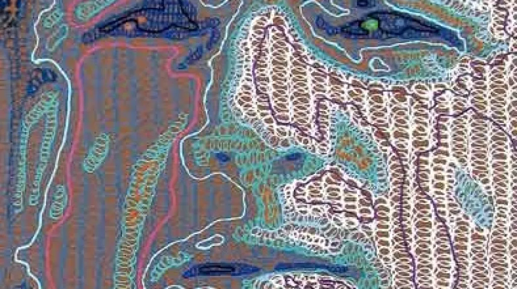 Ivana Štenclová: Ivana Dixit