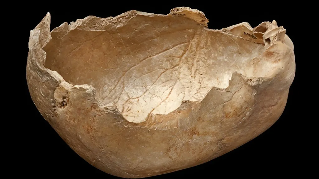 Lidská lebka Goughovy jeskyně upravená jako pohár