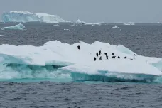 Mořského ledu u Antarktidy ubývá, tři roky za sebou je pod průměrem. Vědci varují před „změnou režimu“