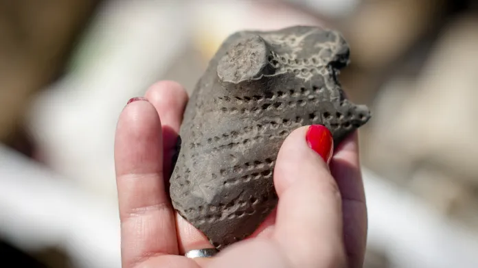 Kus keramiky nalezený u Lochenic v trase budoucí dálnice D11
